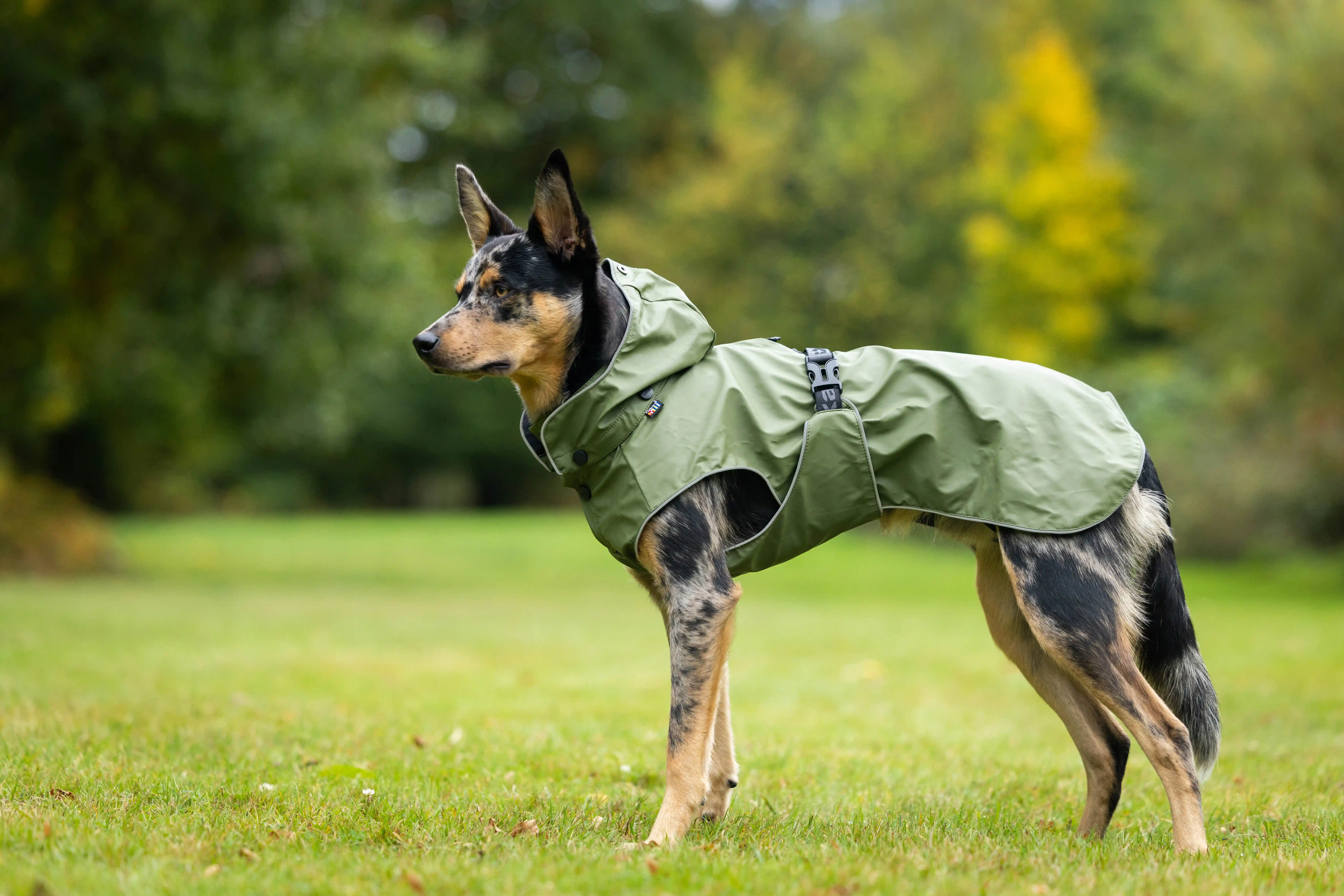 Rukka Pets Regenmantel Streamy X